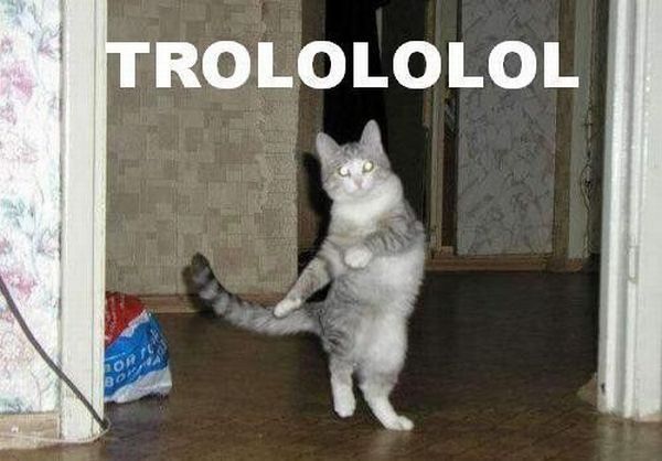 TROLOLOLOLOL-Cat.jpg